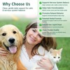 Seizure Guardian for Dogs and Cats – Helps Manage Seizure