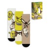 Shrek Donkey Unisex Knee Socks, Multicoloured, Set of 3 |
