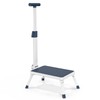 Folding Step Stool, Step Stools with Handle for Elderly Adults,