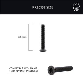 VanEssential Venture L-Track Machine Screws 304 Stainless Steel Torx Drive M6-1.0 x 40mm Black - 50pcs
