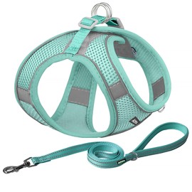 AIITLE Small Harness for Puppy with A Leash - Summer Dog Vest Harness with Super Breathable Mesh, Reflective No-Pull Pet Harness for Outdoor Walking, Camping for Small Dogs, Cats Pure Turquoise XXS
