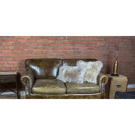 Set of 2, New Zealand Sheepskin Throw Pillow with Zipper Closure and Polyfil Insert | 100% Genuine Sheep Wool Pillow | Fluffy Decorative Throw Pillows for Couch and Chairs, Taupe, 12 in x 20 in