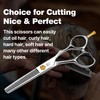 Fenice Totem Professional Hair Scissors, Sharp Precision Cutting, No-Pull Design,