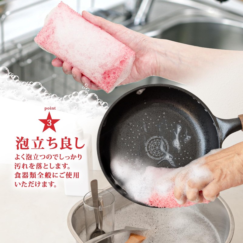 Wise Red Star Sponge for Dishwashing, Set of 6, Made