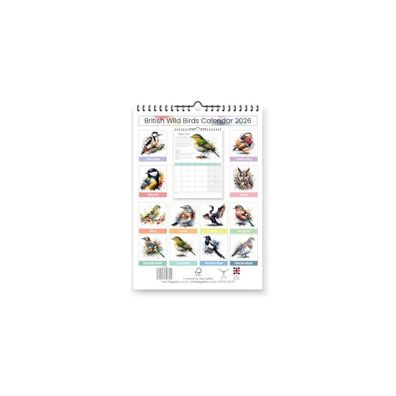British Wild Birds 2026 Yearly Wall Hanging Calendar - Splash