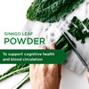 Emerald Labs Ginkgo Biloba 60 mg Extract - Supports Memory,