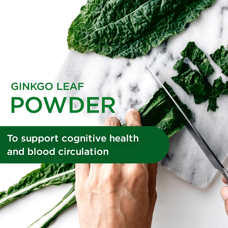 Emerald Labs Ginkgo Biloba 60 mg Extract - Supports Memory,
