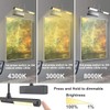LUXSWAY Picture Light Battery Powered, Wireless Painting Light with Remote,