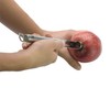 Silit Classic Line Apple Cutter 25 cm, Polished Stainless Steel,