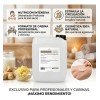 Crema Corporal Extra Hidratante Jengibre 10 Litros Beohemp