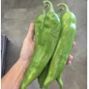 20 Semillas Chile Anaheim Pepper Importadas Organicas Nuevas