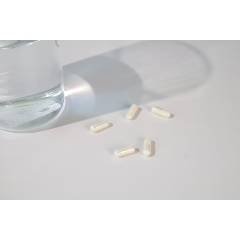stomach biome Gastric Biome Whole Family Lactobacillus InnerImmune+Brain+Y 10 Billion