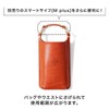 HUKURO Smart Wallet M Plus Mini Strap, Women's, Men's, Genuine