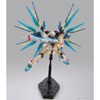 RG 1/144 Strike Freedom Gundam Clear Color Ver.