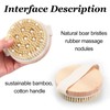 Dry Brushing Body Brush – Natural Bristle Exfoliating Brush for