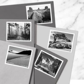 2024 U.S. Forever Stamp Series for Commercial and Collector UseColor: 2024 Betty Ford Stamps 500374-Y2-232-24BDFT, Quantity: 3sets