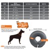 FAIRWIN Inflatable Dog Collar Recovery Cone for Medium Waterproof Elizabethan