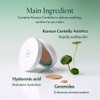 Purito Seoul [Purito Seoul]Wonder Releaf Centella BB Cushion (3 colors)