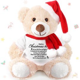 Lenwen Christmas Bear Night Before Christmas Stuffed Animal Bear Hug Gift Inspirational Gift Bear Stuffed Animal Get Well Soon Gift Thinking of You Gift Bear for Women Kids Adult, 13.78 Inch (Beige)