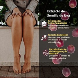 Nsn Dynamic Circulation Formulado Por Dra Friné Velázquez Extracto Uva Arginina Betabel Soporte Dinámico Todo Cuerpo Cápsulas