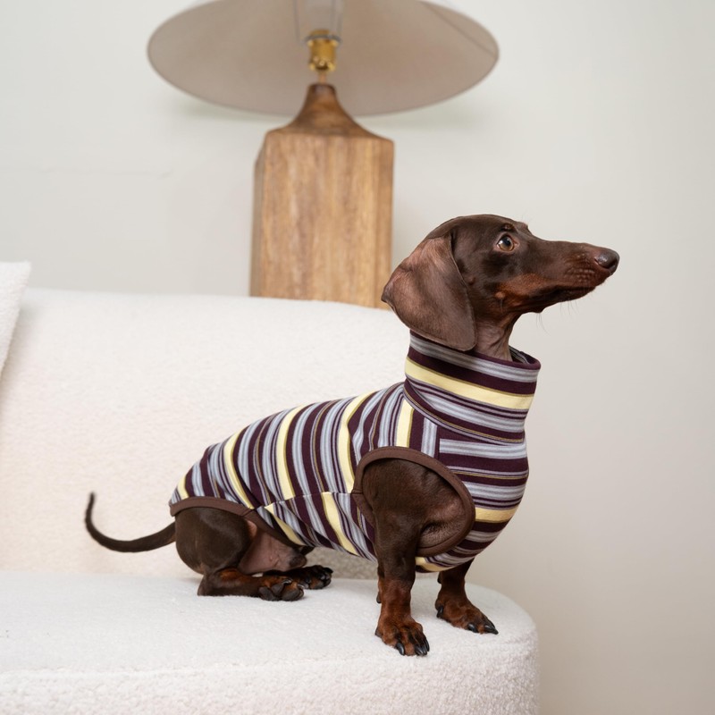 Whalemire Dachshund Dog Sleeveless Onesie, Cozy Turtleneck Stripped Shirt for