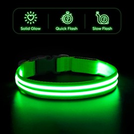 BSEEN Light Up Dog Collar - LED Dog Collar Rechargeable, Double Line Fiber Optic Dog Collar Light Glow in The Dark Dog Collar for Night Walking(Green, Small)