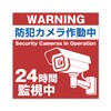 Magnetic Security Camera Activated, Magnet, Approx. 3.9 x 3.9 inches