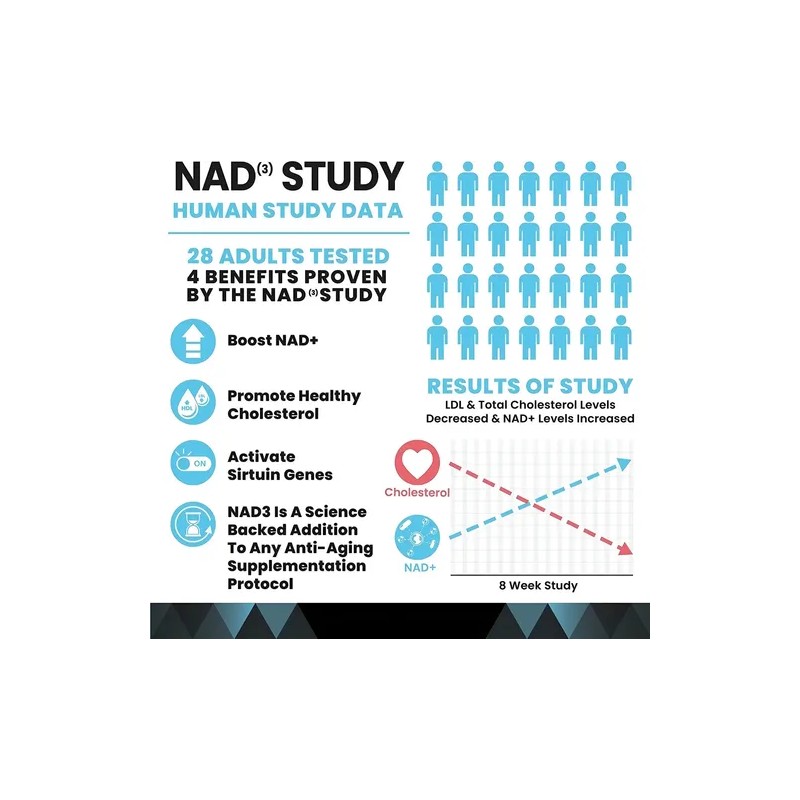 High Performance Nutrition Nad Booster Caps Suplemento