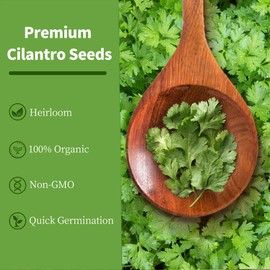 Environet Organic Cilantro Seeds Pack – 2 OZ Pack, Non-GMO, Heirloom, High-Germination, Fresh & Flavorful Herb for Cooking, Garnishing & Gardening