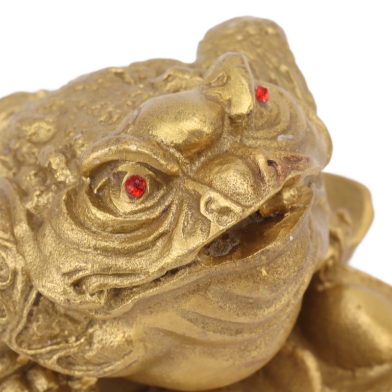 Money Toad Fortune Good Luck Attract Wealth Corrosion Resistant Three