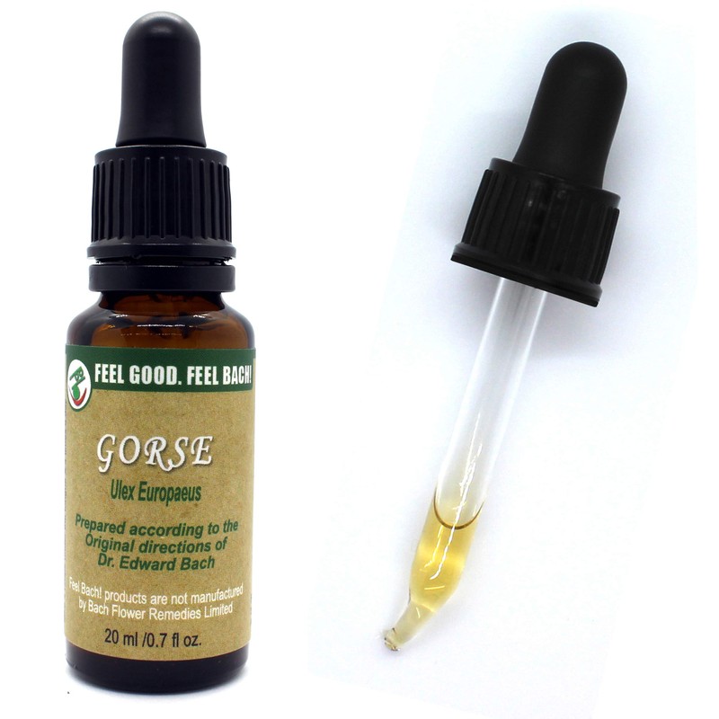 Feel Bach! Flower Essence Dropper Gorse, 20ml, 0.7 Fl Oz