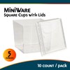 Blue Sky MiniWare Square Clear Plastic Cups with Lids (10ct)