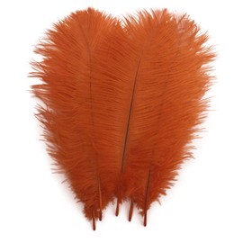 Shekyeon Orange 10-12inch 25-30cm Ostrich Feather Home Decoration DIY Craft Pack of 10