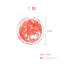 YFFSFDC Crush Hologram 12-Color Set Neon Flakes Material Craft Resin Encapsulation Parts Nail Art Glitter Film