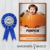 Pumpkin Seeds for Planting (Big Max) Heirloom, Non-GMO Vegetable Variety-
