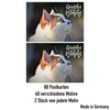 the lazy panda card company 80 Postive and Motivational Postcards