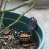 Kit Cajas Plástico Tapa Bonsáis Contenedor Abono Plantas Macetas Accesorio