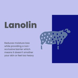 Payden's Cobalt Cedarwood Sandalwood & Musk For Men Scented Luxury Body Lotion with Lanolin and Jojoba Oil, 16 Oz