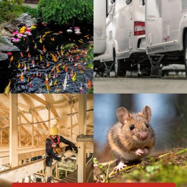 Black UV-Resistant Expanding Foam Sealant 24 oz (1-Pack) – Waterproof Polyurethane Insulation for RV, Automotive, Trucks, Golf Carts, Pond, Landscape