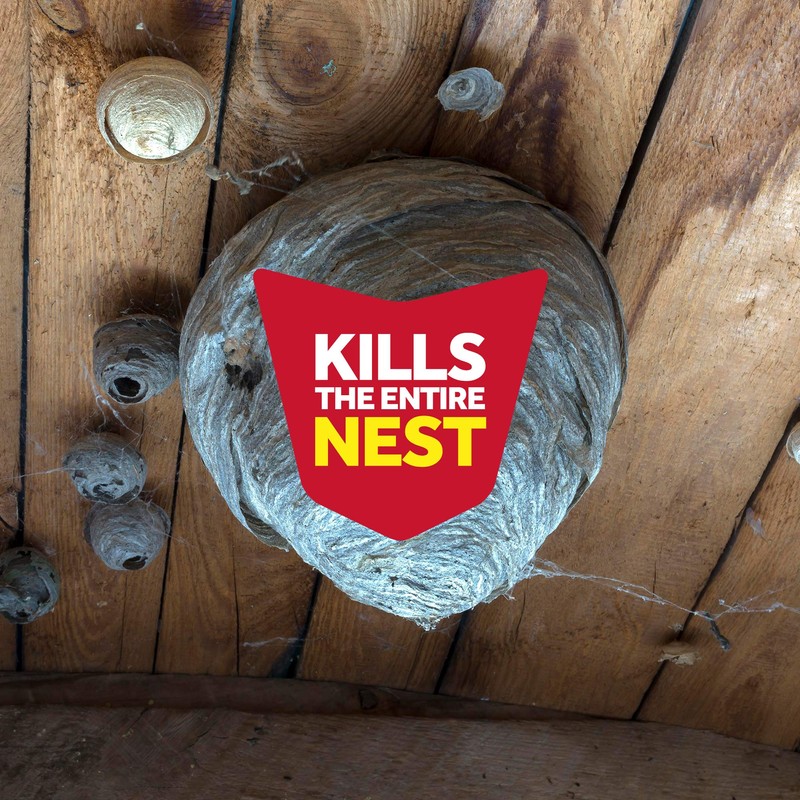 Raid Wasp and Hornet Killer Spray, Kills the entire nest,