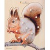 BSM E72510330 Installation Game - Puzzle Squirrel