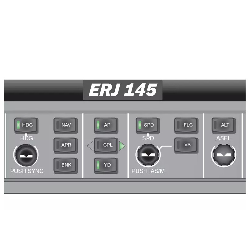 Embraer ERJ 145 Cockpit Training Poster 24in x 36in