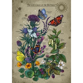 Ravensburger Puzzle 12001435 Lifecircle Butterfly Puzzle 1000 Pieces for Adults and Children from 14 Years