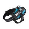 Julius-K9, 16IDC-AM-B2, IDC Powerharness, dog harness, Size: Baby 2, Aquamarine