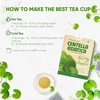NMPT Centella Asiatica Leaf Tea, 100% Hand Pick, Organic Herbal