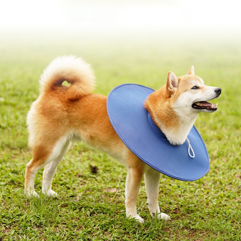 Dog Cone Collar Multipurpose Breathable Mesh Comfortable Prevents Licking Dog