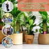 SiliFine 12 Pack Plant Watering Devices Include 6 Terracotta Self