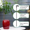Orchid Sticks 17 inch &11 inch SupKing 16Pcs Plant Stakes