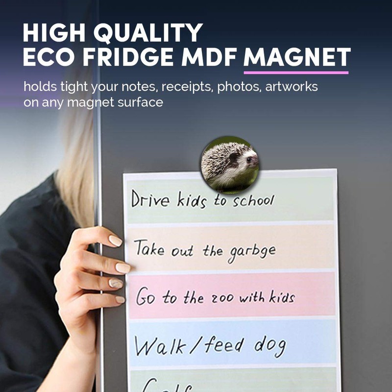 1 x Round MDF Magnet - Hedgehog Garden Wildlife British