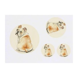 4 x 'Shy Bulldog Sitting' Temporary Tattoos - Water Resistant, Skin-Safe, Non-Toxic Transfers, Mixed Sizes (TO00084598)